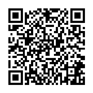 遂是命人召来曹仁以及许诸还有夏侯惇一干军中大将二维码生成