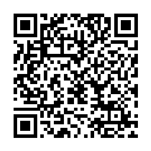 遇到了一群会精神攻击的蚯蚓――每条蚯蚓都有一米多长二维码生成