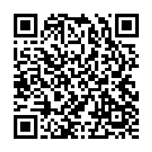 遇到云峥这种只要一有机会就想把坏蛋弄死的人是文彦博的不幸二维码生成