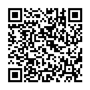 遇到的几乎全是这种人物……五分之一的概率说不定还低了二维码生成