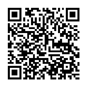 遇到这样的事情还不跟公狗遇到母狗母狗吃到骨头一样的兴奋二维码生成