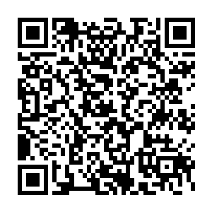 遇到这种级别的玄黄巨兽恐怕都要话费一番手段才能够将对方制服二维码生成