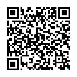 遍布全国甚至全世界的龙子龙孙会怎么仇视自己二维码生成