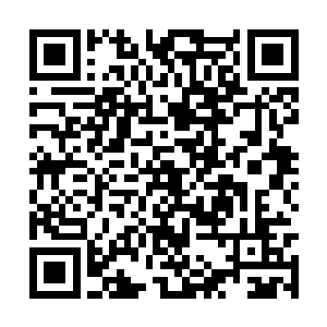 遍布圣保罗这座城市各个角落的报刊报亭就开门了二维码生成