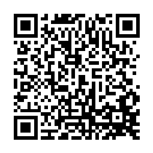 道上传言可与安隽煌相提并论的一方霸主就这样随着飞机残骸二维码生成