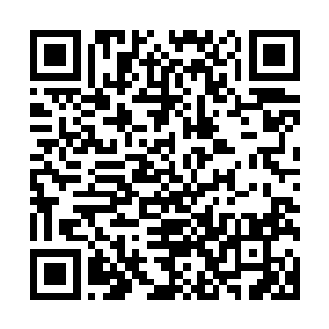 道具……那一张张丑陋的嘴脸一点一点掐灭特蕾西最后的希望二维码生成