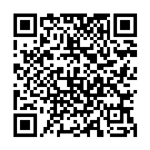 道印一直以来绝大多数强狂都是被杨戬用来提炼灵液的工具二维码生成