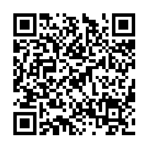 道印上面剩余的八滴灵液也在这半个月内消耗一空二维码生成