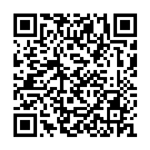 道友揭了那薛术棋的丑恶嘴脸又得神兽如此信任二维码生成