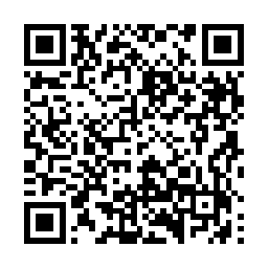 道场上的巨大平台上很多家族的人全都缓缓地走了上去二维码生成