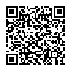 道正和法正最大的失误……莫过于没有分头逃跑二维码生成