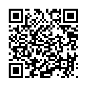 道爷我今日还收拾不了你一只小小的僵尸么二维码生成