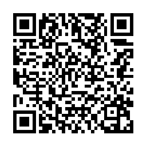 道盟只需要维持双方的能量里原仙者的能量更大一些二维码生成
