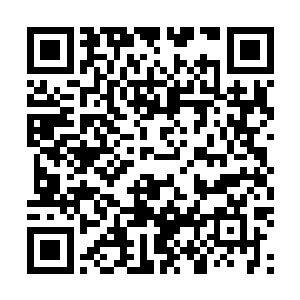 道行会六名金仙高手带着数十名天仙修士出现在广场中心二维码生成