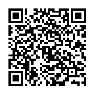 道路两边的房屋不管有没有人都会有一颗火药弹扔进去二维码生成