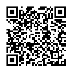 道路两边都是灌木丛或是山体上凸起的乱七八糟的岩石二维码生成