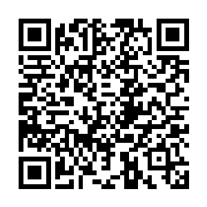 道魂界中幽冥宫殿化为一道流光从幽冥之门中钻了进去二维码生成