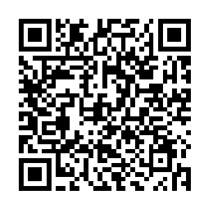 遗忘之地的晶化巫师当然没有外界的晶化那么身家阔绰二维码生成