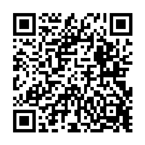 遭遇了拥有幽冥狼王的幽冥狼群的话也只有逃跑一个选择二维码生成