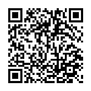 避难所新章是马文在大灾变之前就抽空写出来的二维码生成