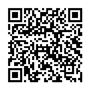 邀晚楼里养着的两个类似于现代保安的打手便冲了过来二维码生成