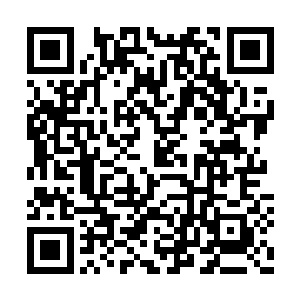 邀请函全部都发给了好似猴子这般不入流的仙家二维码生成