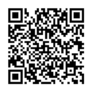 邀请青山公司派员参加学校组织的园林设计进修班二维码生成