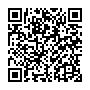 邓少海从来不相信曹刚这样在县里边已经浸淫了多年的老手二维码生成
