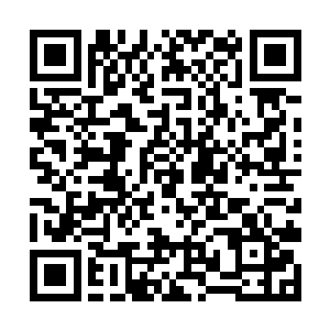 邓铮自然不知道林小璐伙同姜妃一起来给他加油助威二维码生成