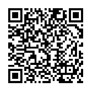 邢战那行人散发出来的气势让罗九有一种见到了高人的感觉二维码生成