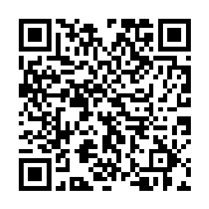 邢锋也终于记起了在飞机上看到的那个冲破禁制的身影二维码生成