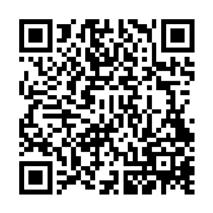 邢锋以迅雷不及掩耳之势收拾了一些不听话的国安局成员二维码生成