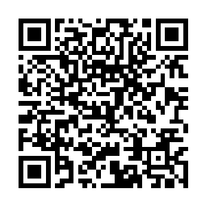 那……不如我们现在看一下学校学生所组建的乐团二维码生成