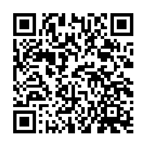 那……他的真龙古剑能抵挡银帐妖王的全力一击如何解释二维码生成