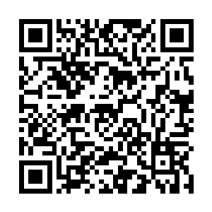 那……几十年前你和宗门诸多长老同时失踪也是故意的二维码生成