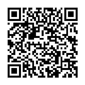 那……到时候他们的损失可不仅仅是受伤这么简单二维码生成