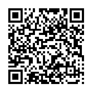 那一个幽冥鬼爪比我这辈子见过的任何一个都要更加的庞大二维码生成