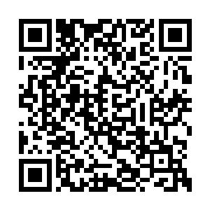 那一刻唐劫已是毫无保留的将洞察放大至最大化二维码生成