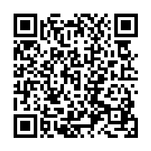 那一刻的秦宇甚至有想要将白树辰直接给一掌拍死的冲动二维码生成