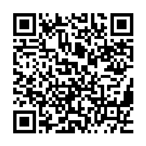 那一刻血河之主终于有些明白唐劫为什么要在这里和他作战了二维码生成