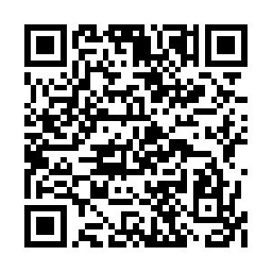 那一副既觉得惊奇又有点想哭的模样把我逗笑了二维码生成
