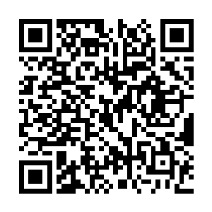 那一双清冽的丹凤眼让她觉得他的美中带着侵略性二维码生成
