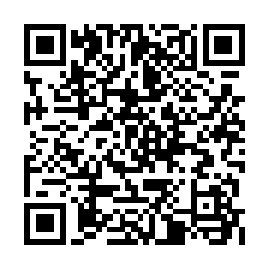 那一双隐藏在双袖之中的玉手拍出了一道道法诀二维码生成