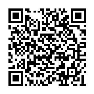 那一只毛茸茸的小爪子立刻就落入了唐铮的手心二维码生成