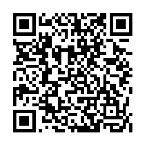 那一只跟着叶秋的慕心怡和田蜜俩女可就危险了二维码生成