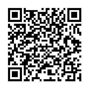 那一只金色的弑神虫立即从秦方的掌心处飞了起来二维码生成