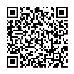 那一团喷着乳白色雾气的大家伙一口咬中了那个黑蛇的脖子二维码生成