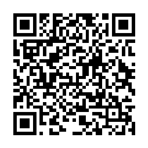 那一声惨烈无比的惨叫声便已经传到了他们的耳中二维码生成