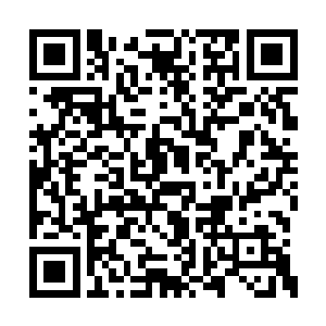 那一声接着一声的吼叫让声带承受着巨大的压力二维码生成