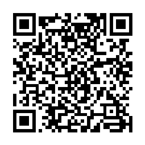 那一声熟悉的先生让他不由回想起了当初一直跟在自己身边二维码生成